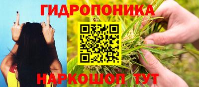 прущие грибы Партизанск